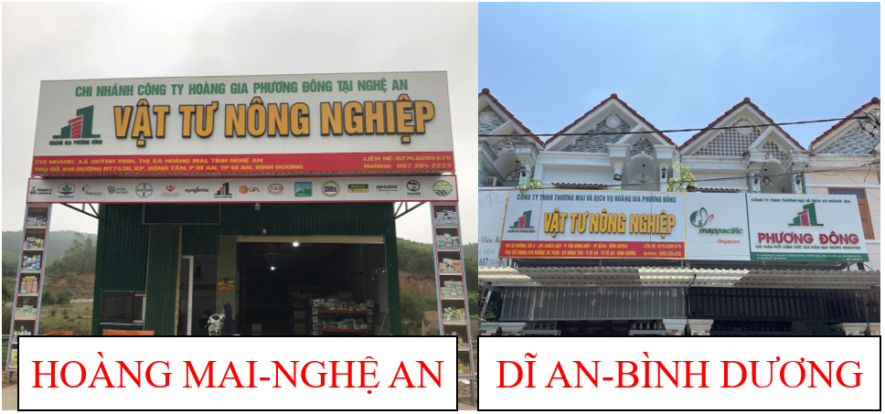 chiếm lấy