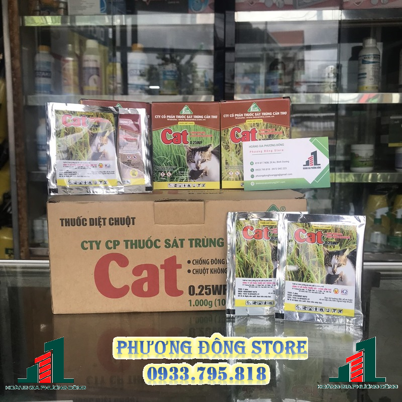 cat-6