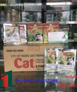 Cat 0.25WP