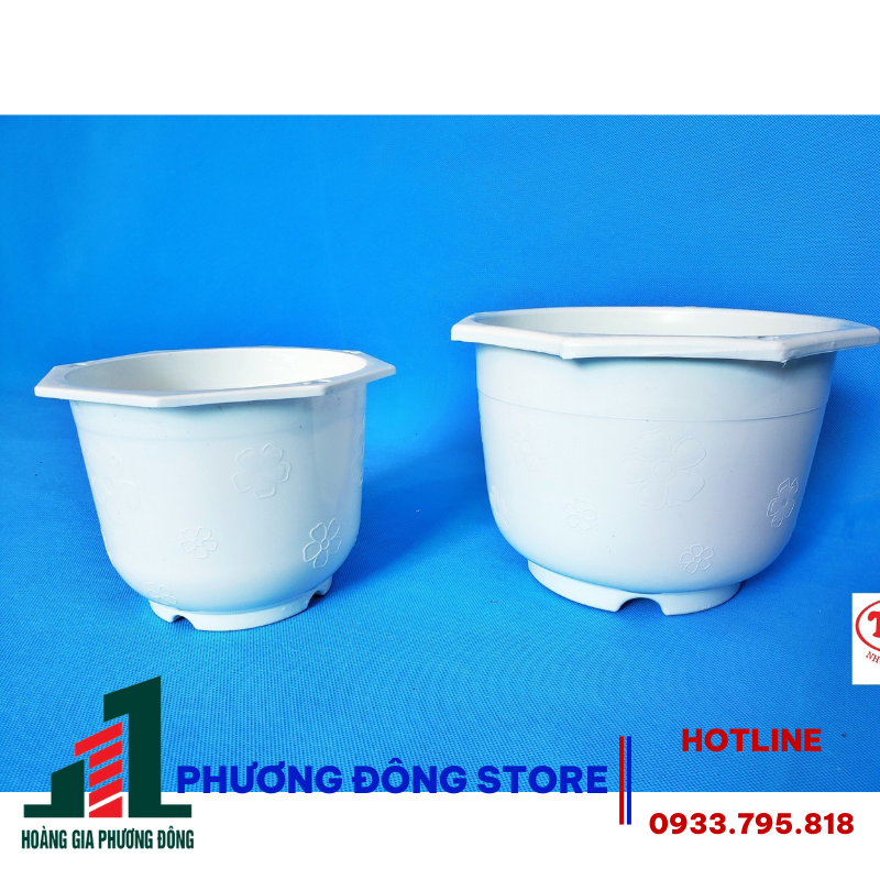chau-op-tuong-6