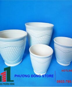 Chậu Vân Tổ Ong