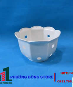 Chậu Lan Bèo (Phi22,c14)