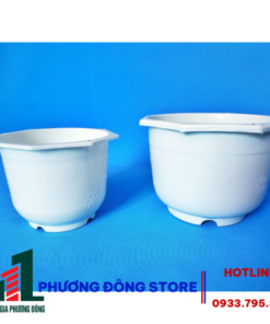 Chậu trồng có dây treo