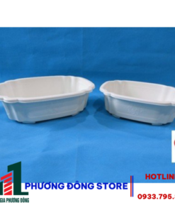 Chậu Bon Sai