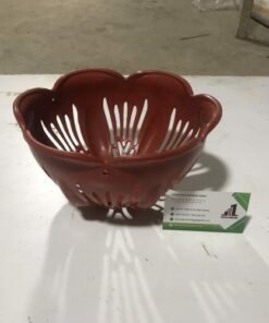 Chậu nhựa tai bèo