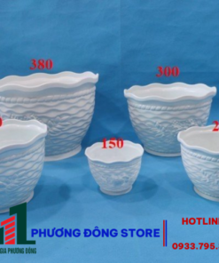 Chậu Lưới Hoa Hồng