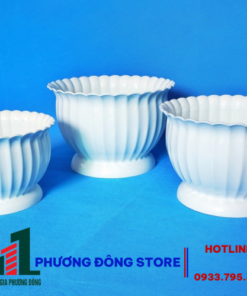 Chậu Khía bầu