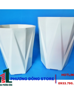 Chậu Lục Cạnh