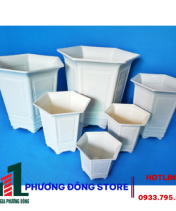Chậu Lục Giác