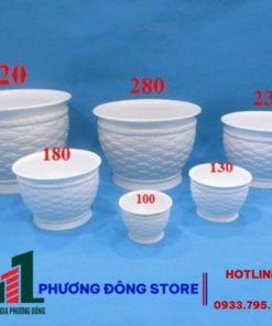 Chậu Đan Lục Bình