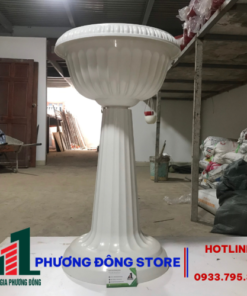 Chậu Ly trồng cây