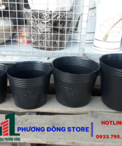 Chậu ươm cây 9cm