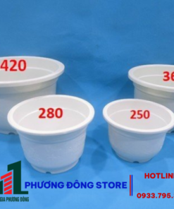 Chậu trồng bốn mùa