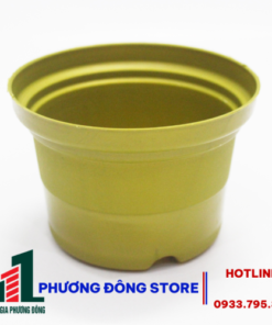 Chậu trồng 10B