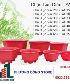 Chậu FA 580