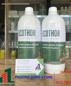 Ecothor đuổi thằn lằn