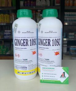 Ginger 10SC