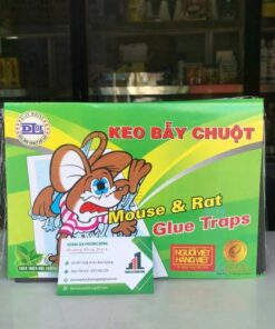 Keo bẫy chuột DL fudo01