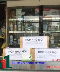 Hộp nhử mối
