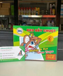 Keo dính chuột giấy nhí ĐL 25x15cm
