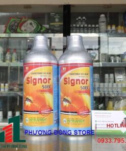 Signor 50EC