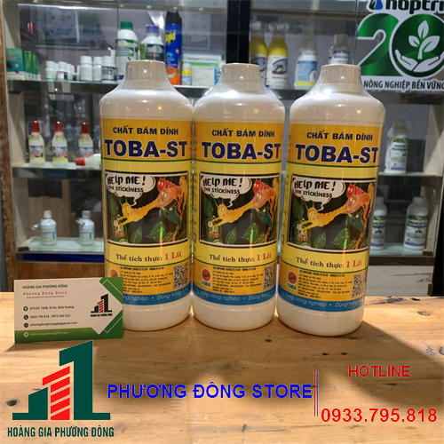 toba-st