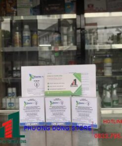 Bả mối Xterm